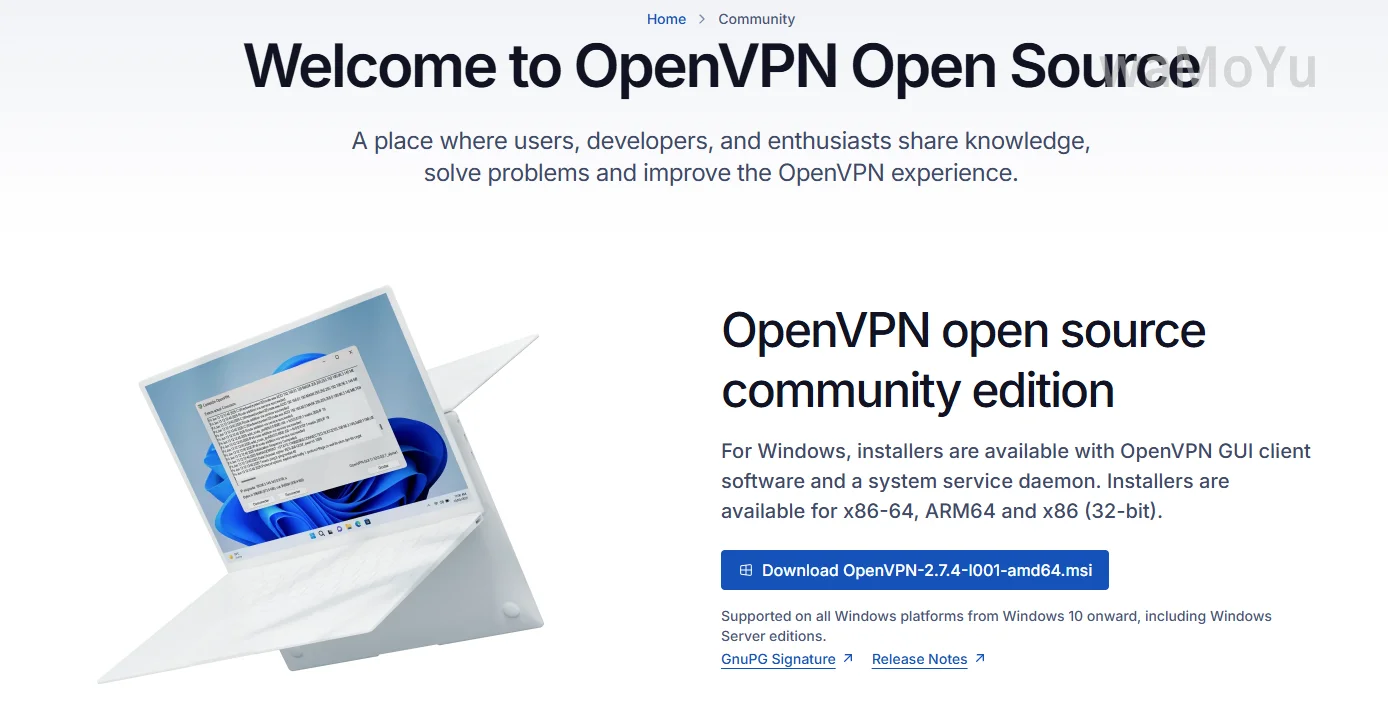 VPN-OpenVPN